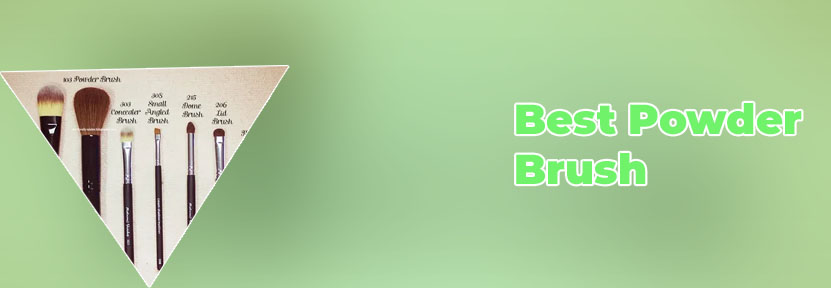 Best small powder brush